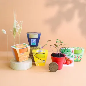 Kit plantation Pot Bambou