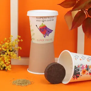 Kit plantation Pot Carton