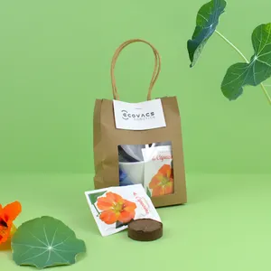 Kit plantation sac kraft