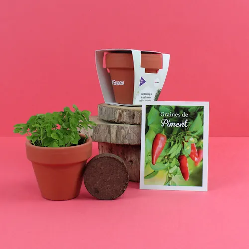 Kit plantation terre cuite Ø6cm
