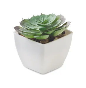 Mini plante artificielle - Artieche Mini plante artificielle - Artieche