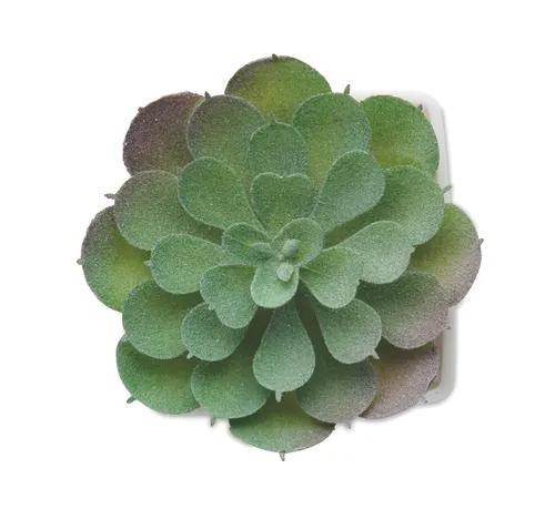 Mini plante artificielle - Artieche