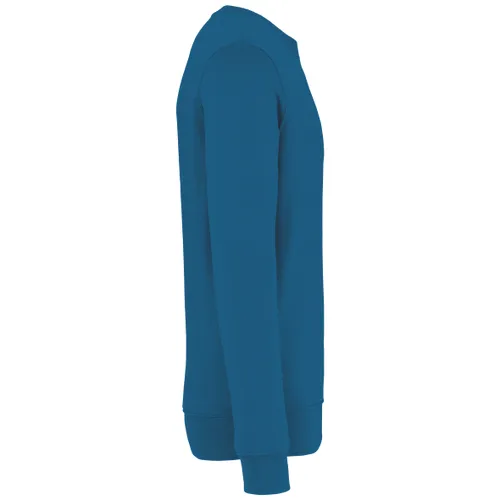 Sweat-shirt écoresponsable personnalisé à col rond unisexe - Native Spirit