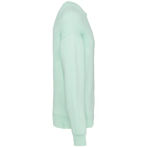 Sweat-shirt écoresponsable personnalisé à col rond oversize unisexe - Native Spirit