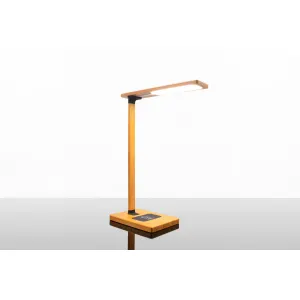 O31 - Lampe bambou publicitaire 10W