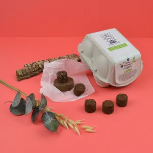 Palet à graine en boite à oeuf