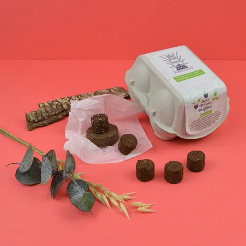 Palet à graine en boite à oeuf