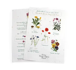 Papier graines A4 200g recto verso