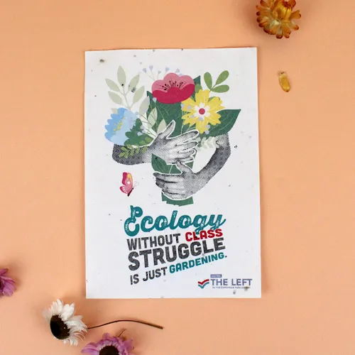 Papier graines A6 200g recto