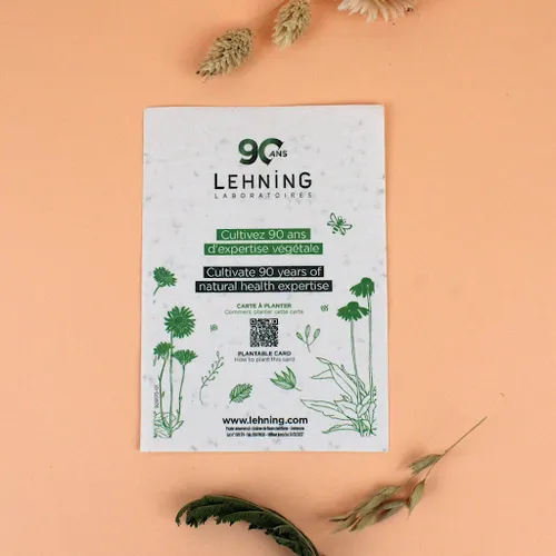 Papier graines A6 80g