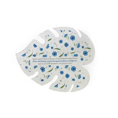 Papier graines A6 découpe spéciale