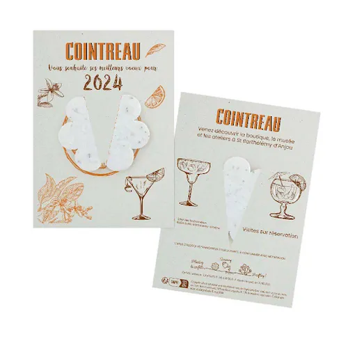 Papillon papier graines