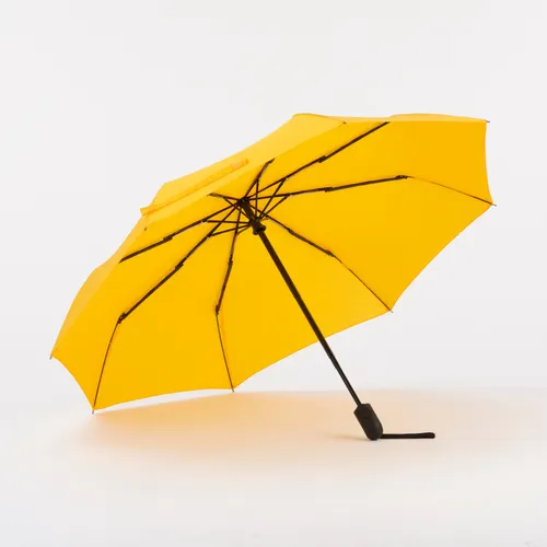 Parapluie cambridge avec fonction das