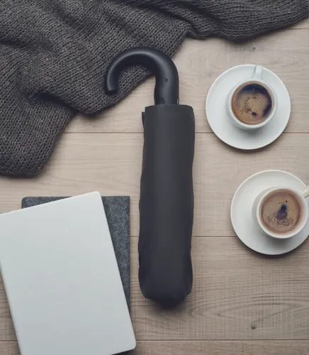 Parapluie pliable de 23 pouces - Canova