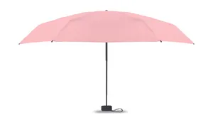 Parapluie tempête de 19