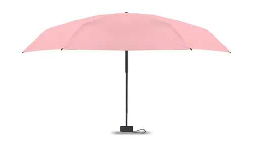 Parapluie tempête de 19
