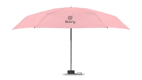 Parapluie tempête de 19