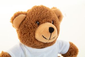 Peluche ourson publicitaire rpet - Rebear