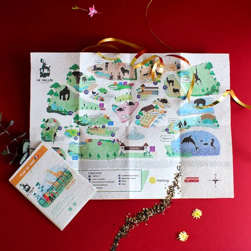 Plan touristique papier graines