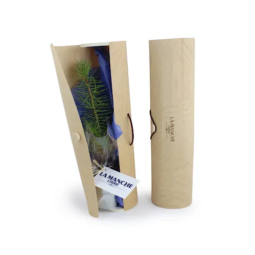 Plant d'arbre tube bois - Prestiges