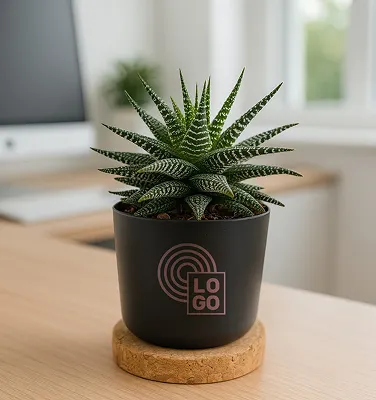 Plante dépolluante en Pot Bambou + soucoupe liège à personnaliser