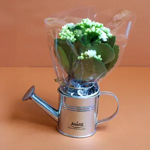 Plante fleurie pot zinc arrosoir