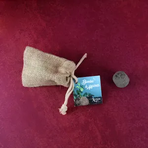 Pochon 1 bombe à graines