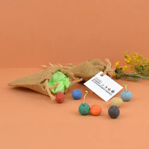 Pochon 5 billes de graines