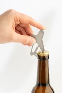 Porte-clés mukltifonctions en RSS - Aerofix