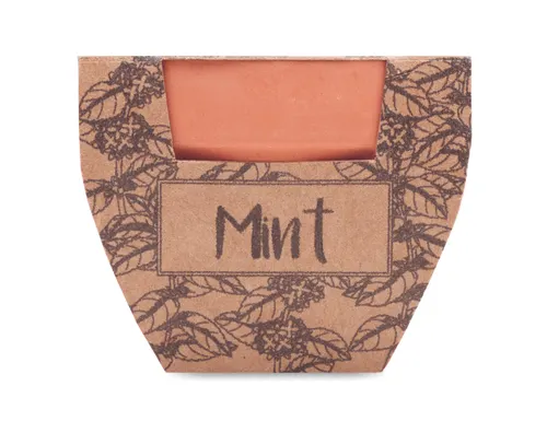 Pot avec graines de menthe - Mint Pot