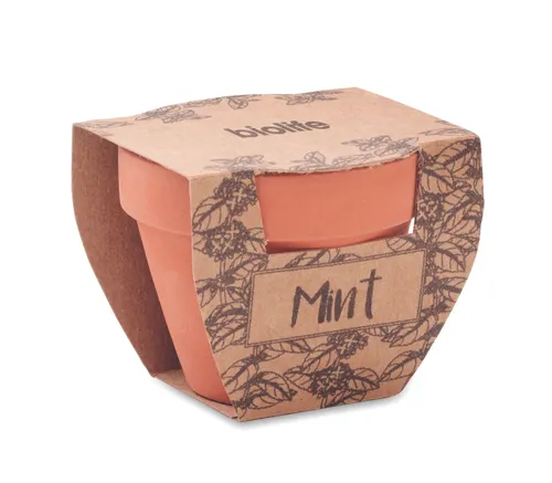Pot avec graines de menthe - Mint Pot