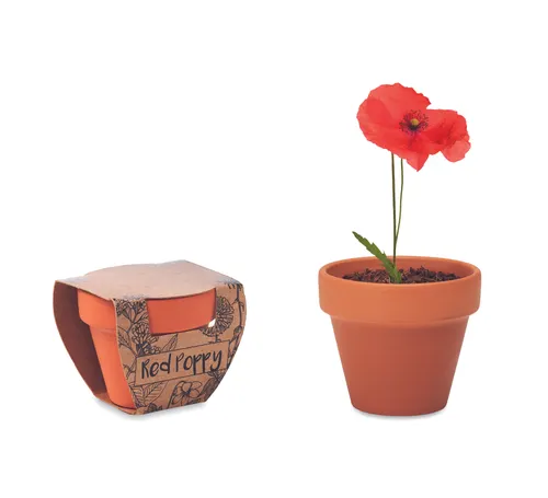 Pot de graines de coquelicot personnalisé - Red Poppy