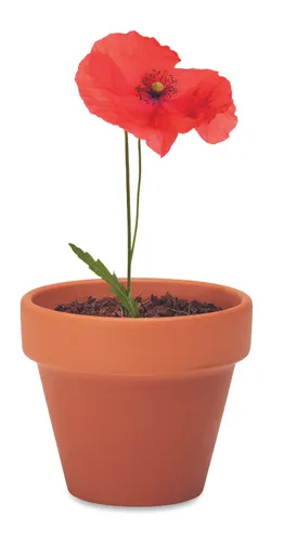 Pot de graines de coquelicot personnalisé - Red Poppy
