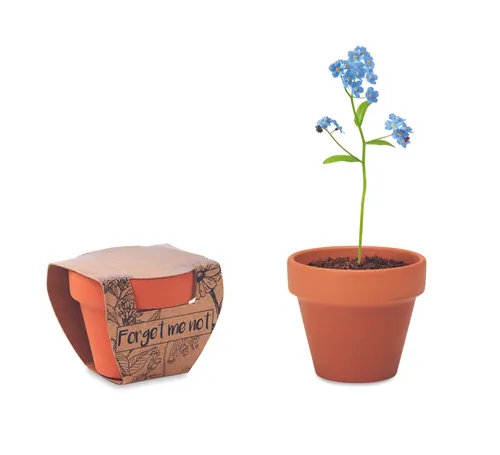 Pot de graines de myosotis personnalisable - Forget Me Not