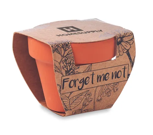 Pot de graines de myosotis personnalisable - Forget Me Not