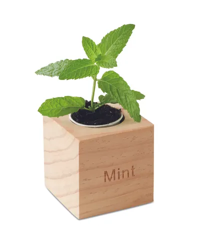 Pot en bois avec graines personnalisé - Mentas
