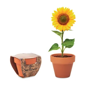 Pot graines de tournesol personnalisé - Sunflower