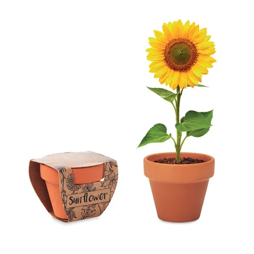 Pot graines de tournesol personnalisé - Sunflower