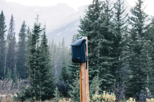 Sac à dos publicitaire 15' en rPET AWARE™ Swiss Peak Fern - Swiss Peak