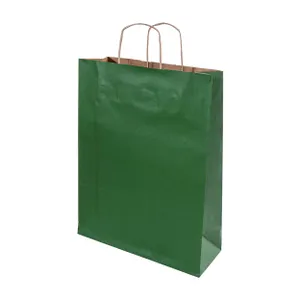 Sac cadeau en papier, format moyen - Papbag M | Vert