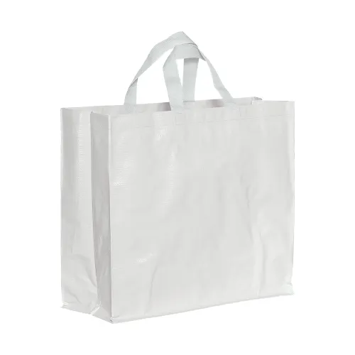 Sac Hari