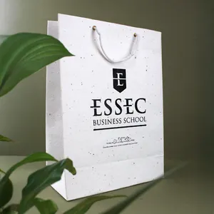 Sac papier graines moyen modèle