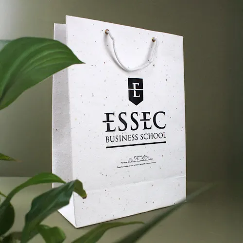 Sac papier graines moyen modèle