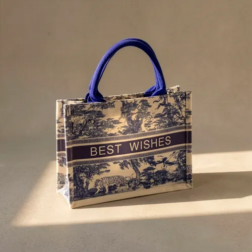 Sac Viana Express