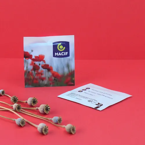 Sachet Graines 55x55 mm