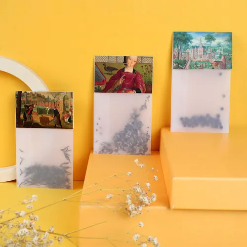 Sachet graines calque avec cavalier