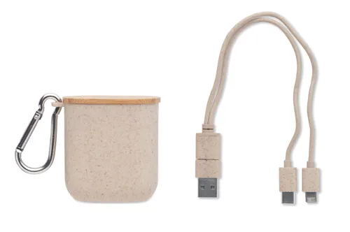 Set de câbles dans un boîtier - Cabstra