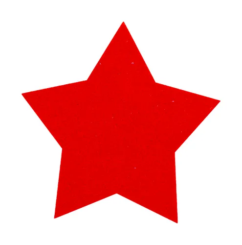 Set de sous-verres de Noël personnalisés en RPET - Vagnes