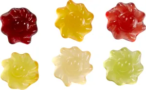 Soleil en gommes de fruits 15g