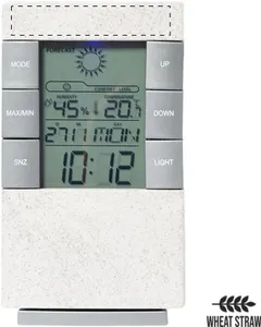 Station météo personnalisée - Maginly